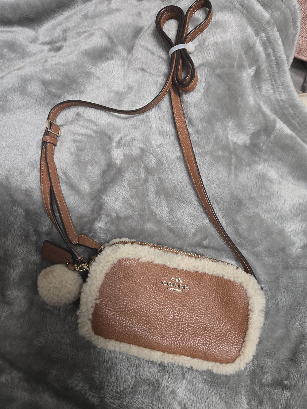 Mini Coach Shearling-Trim Leather Crossbody Bag in Chestnut